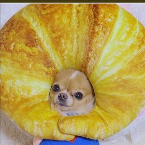 Meet your Posher, Dom